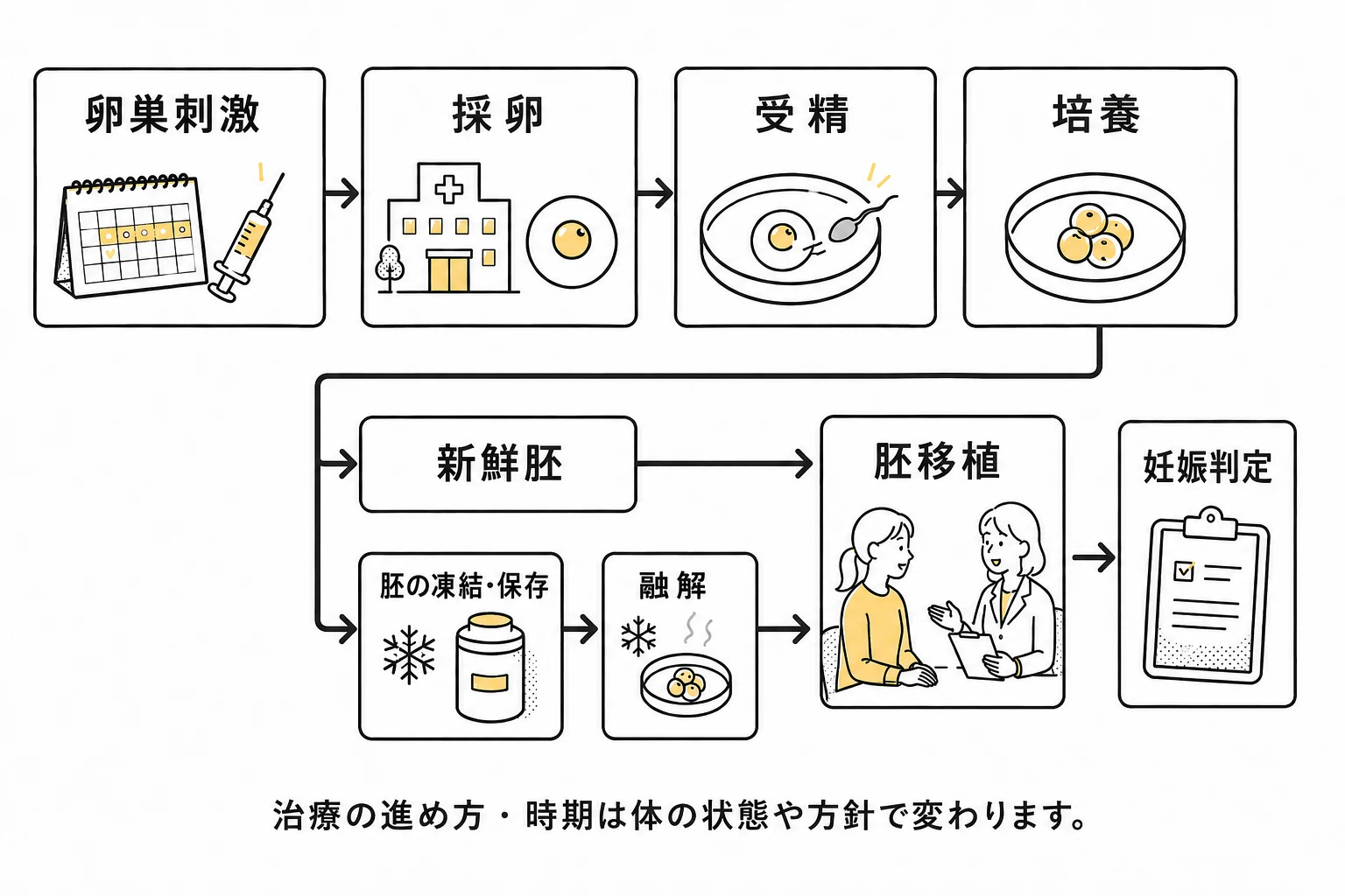 体外受精の卵巣刺激、採卵、受精、培養から、新鮮胚または凍結・融解を経て移植・妊娠判定に進む流れ